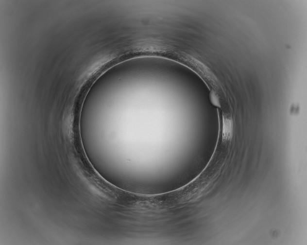 X0000096960627200802081231