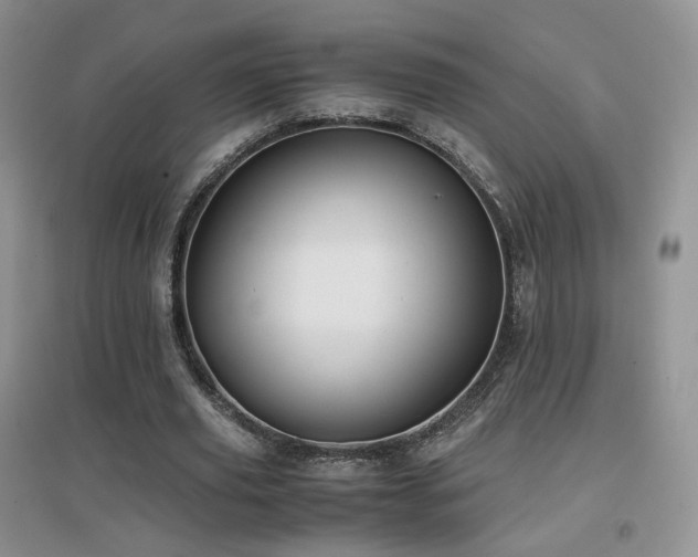 X0000096960629200802081231