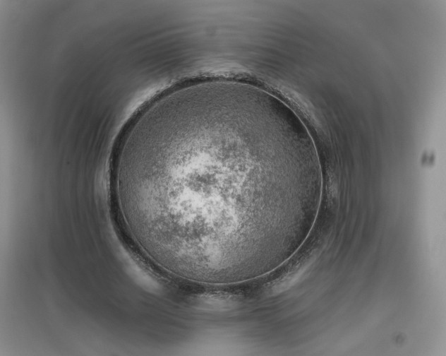 X0000096960630200802081231