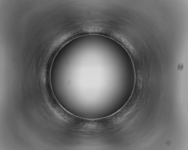 X0000096960631200802081231