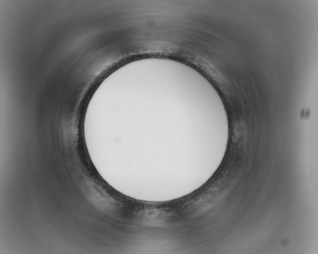 X0000096960632200802081231