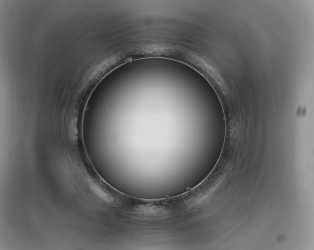 X0000096960633200802081231