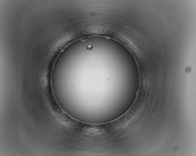 X0000096960635200802081231