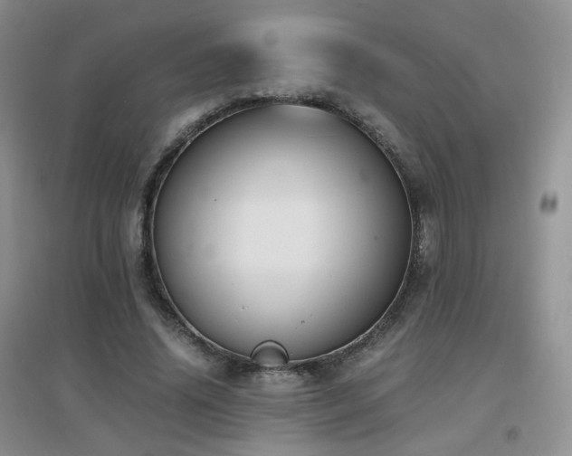 X0000096960636200802081231