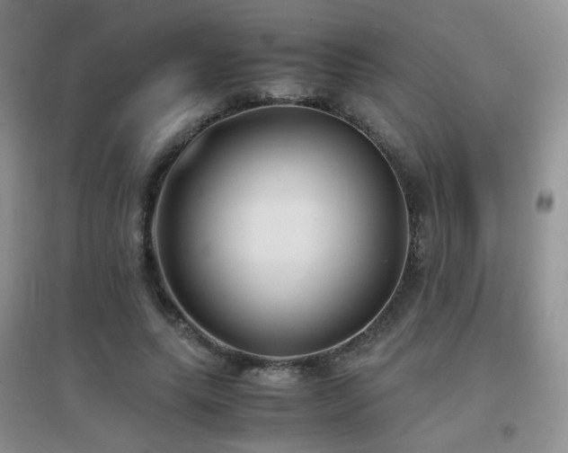 X0000096960639200802081231