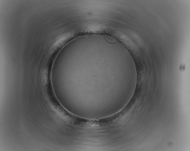X0000096960640200802081231