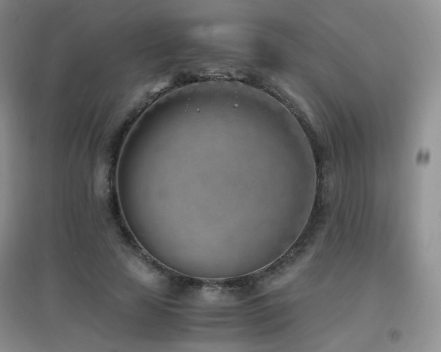 X0000096960641200802081231
