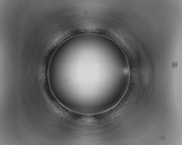 X0000096960642200802081231