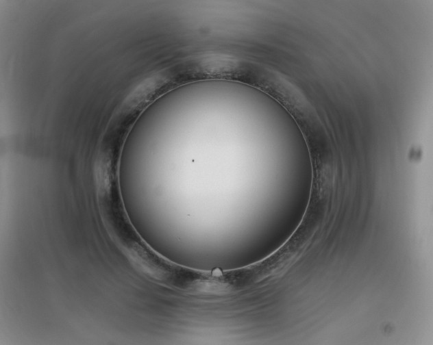 X0000096960644200802081231