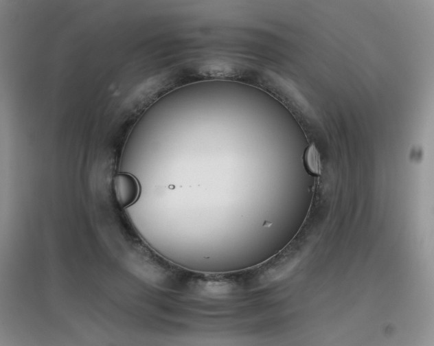 X0000096960645200802081231