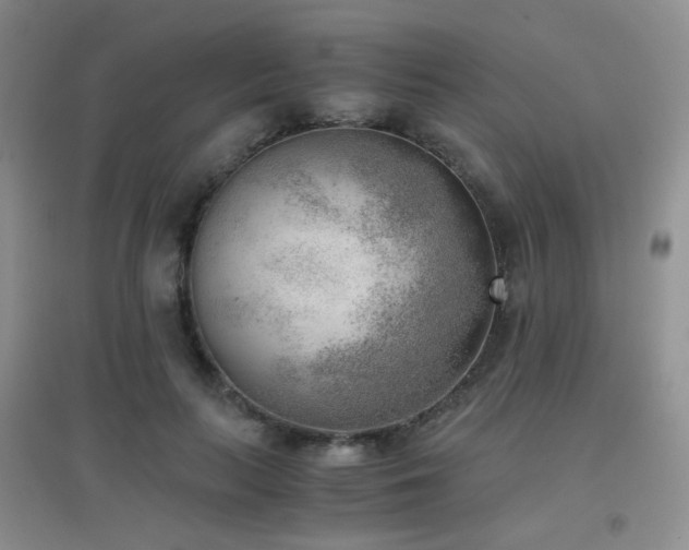 X0000096960647200802081231