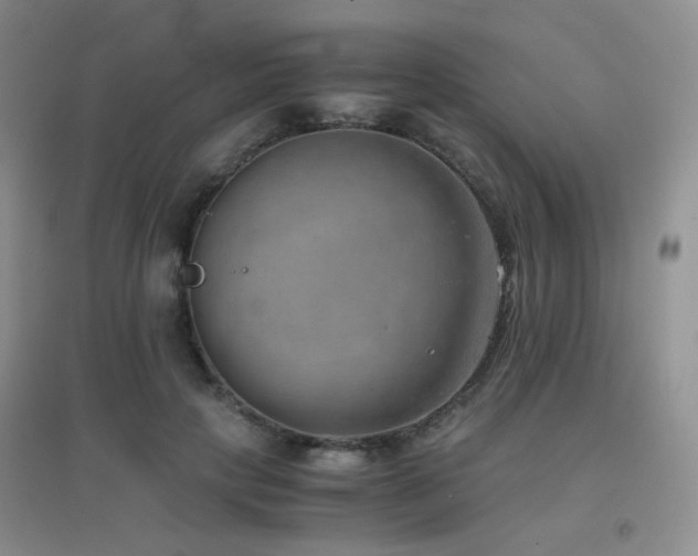 X0000096960649200802081231
