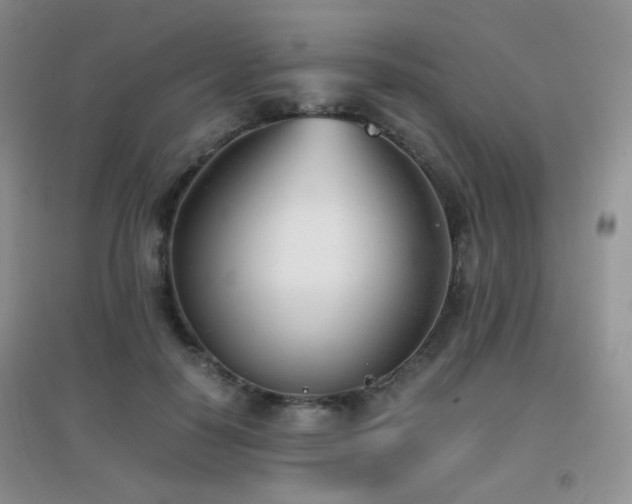X0000096960650200802081231