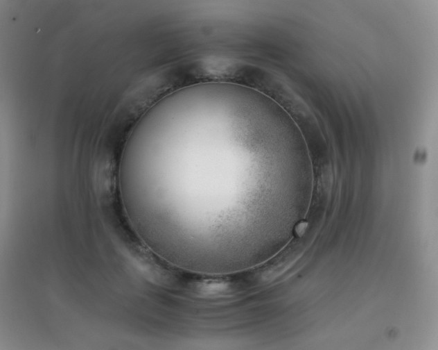 X0000096960651200802081231