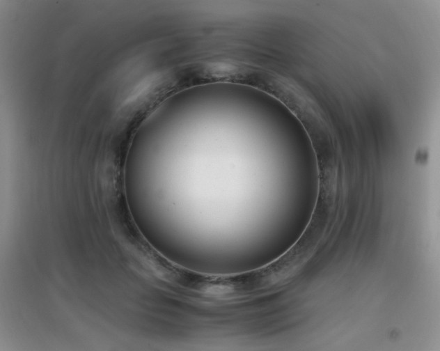 X0000096960653200802081231