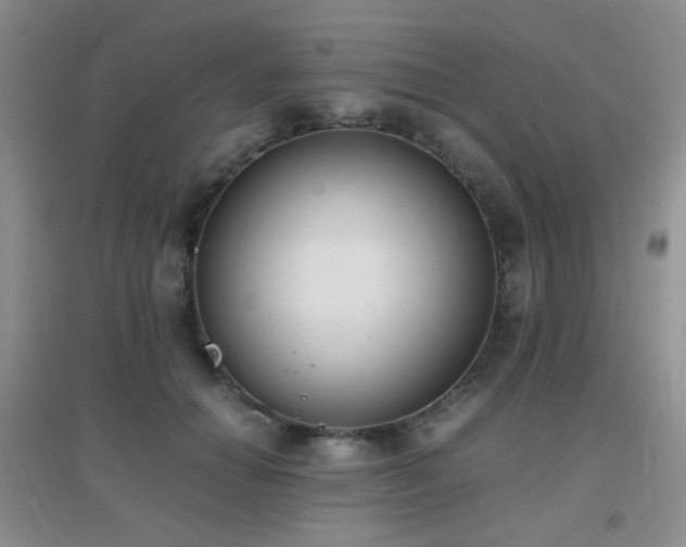 X0000096960654200802081231