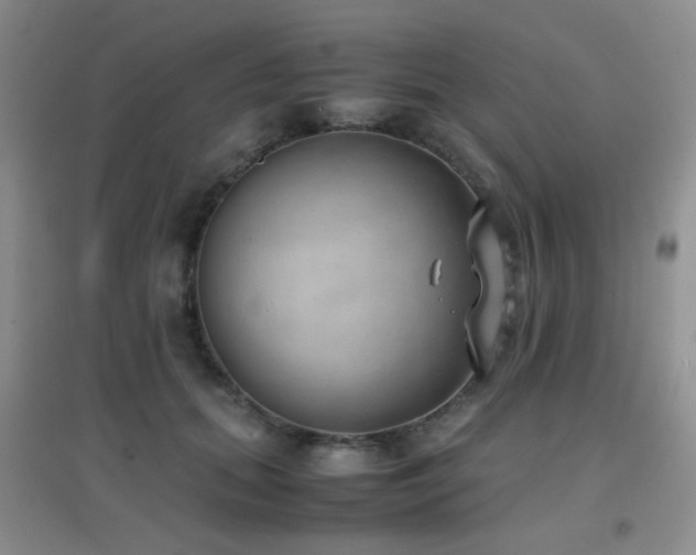 X0000096960655200802081231