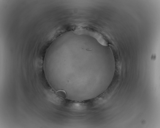 X0000096960657200802081231