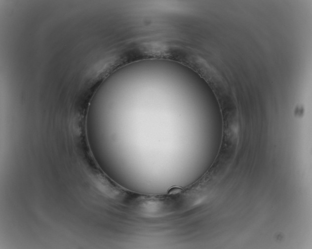 X0000096960658200802081231