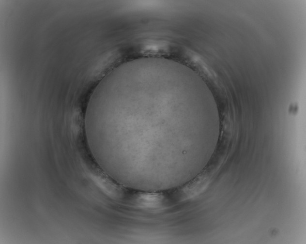 X0000096960659200802081231