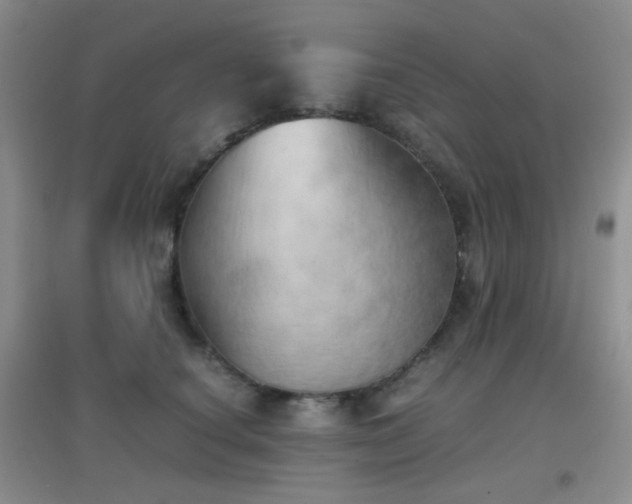 X0000096960660200802081231