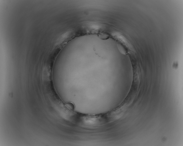 X0000096960661200802081231