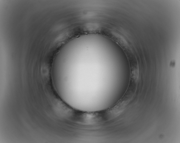 X0000096960662200802081231