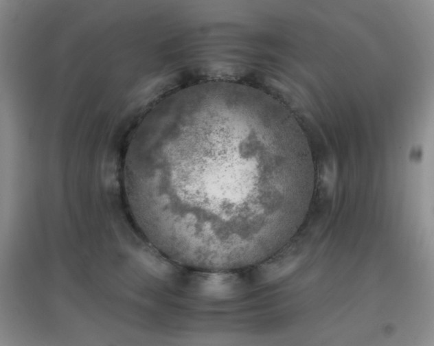 X0000096960663200802081231