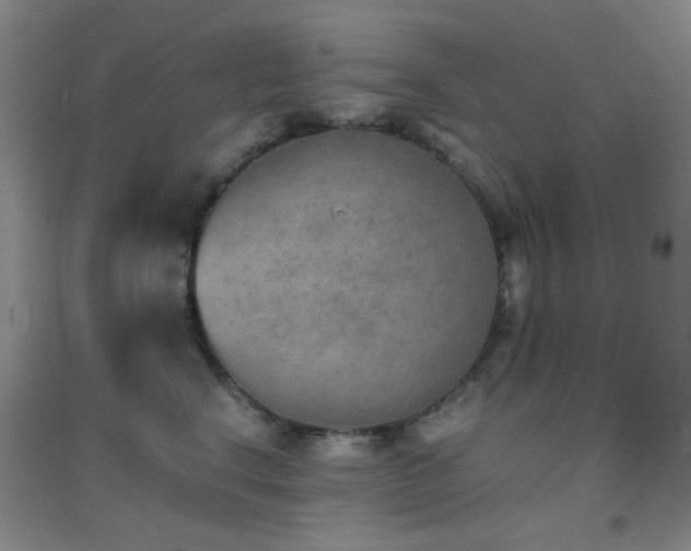 X0000096960664200802081231