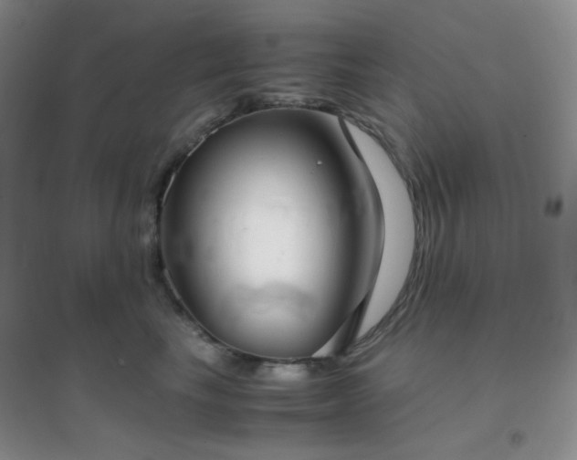 X0000096960665200802081231