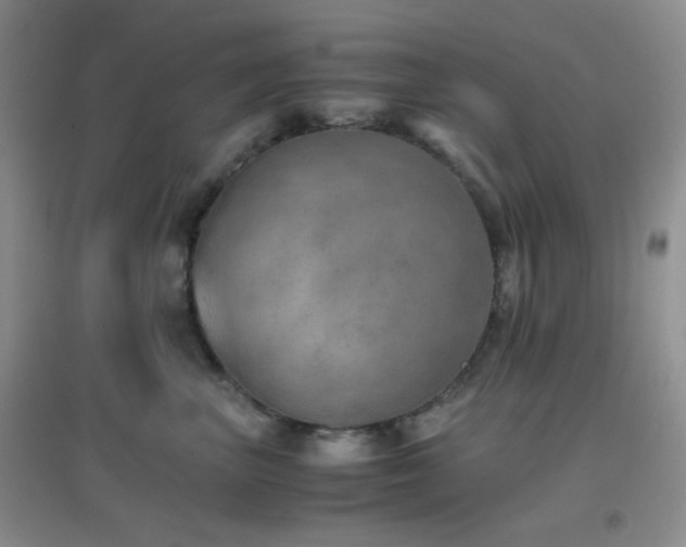 X0000096960667200802081231