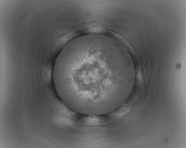 X0000096960668200802081231