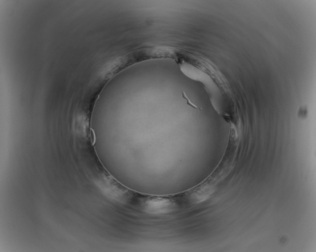 X0000096960669200802081232