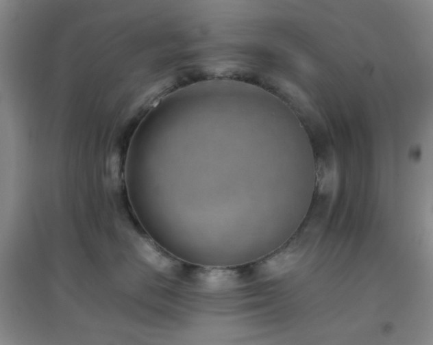 X0000096960670200802081232
