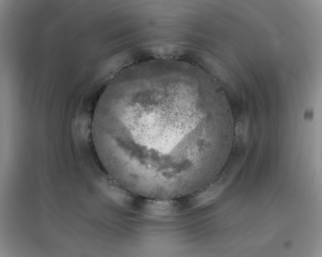 X0000096960671200802081232