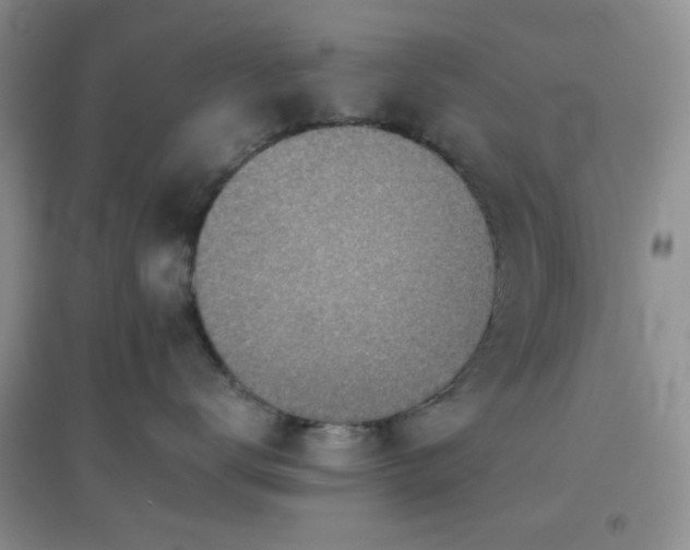 X0000096960672200802081232