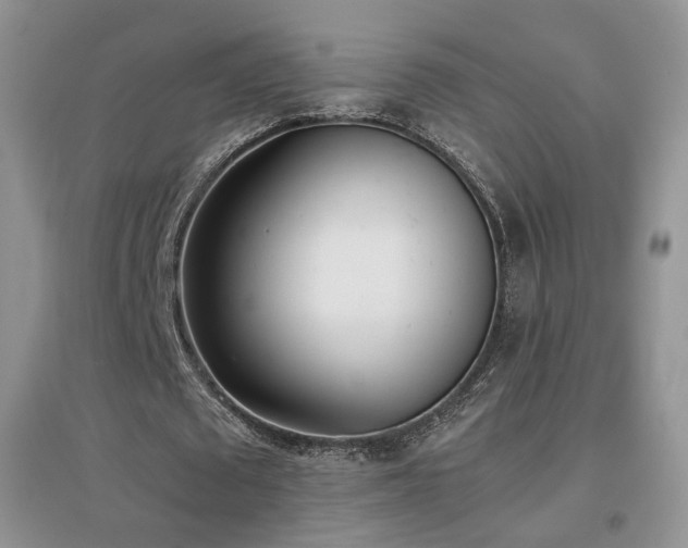 X0000096960673200802081231