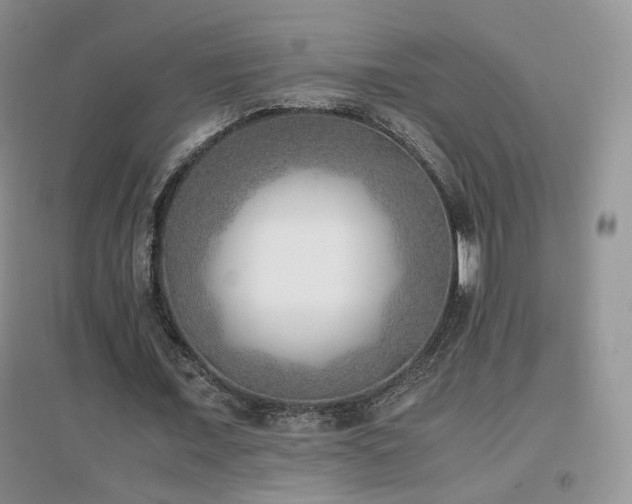 X0000096960675200802081231