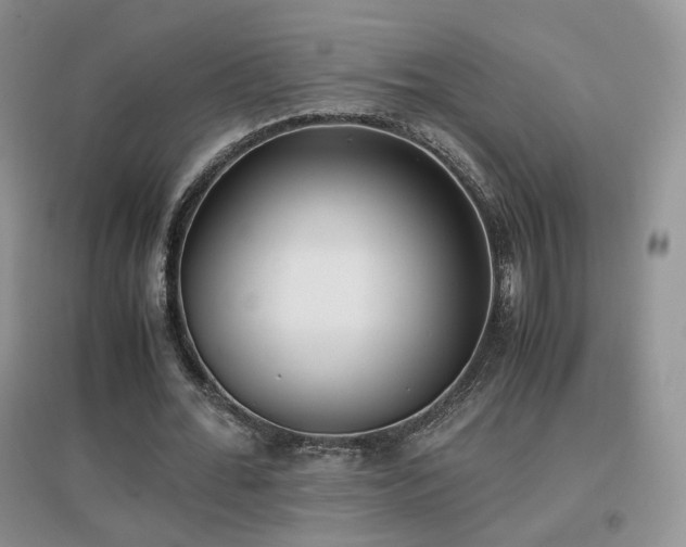 X0000096960676200802081231