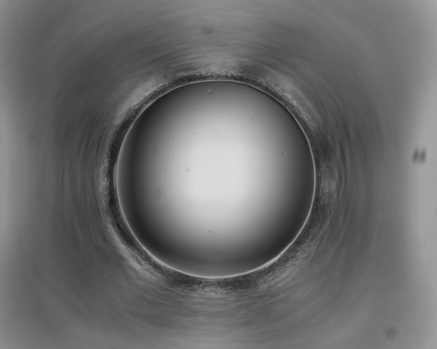 X0000096960677200802081231