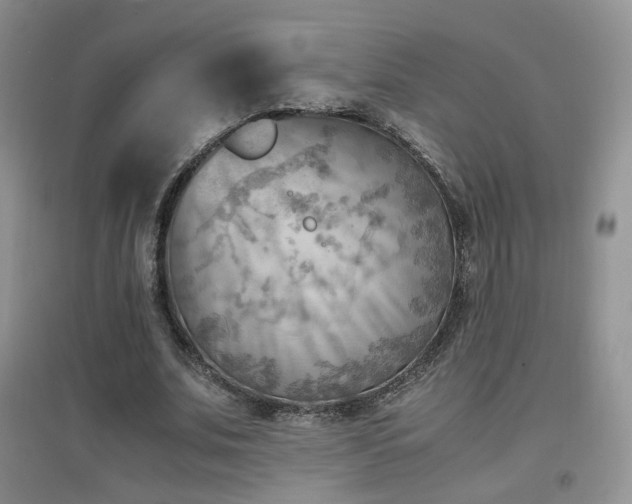 X0000096960679200802081231