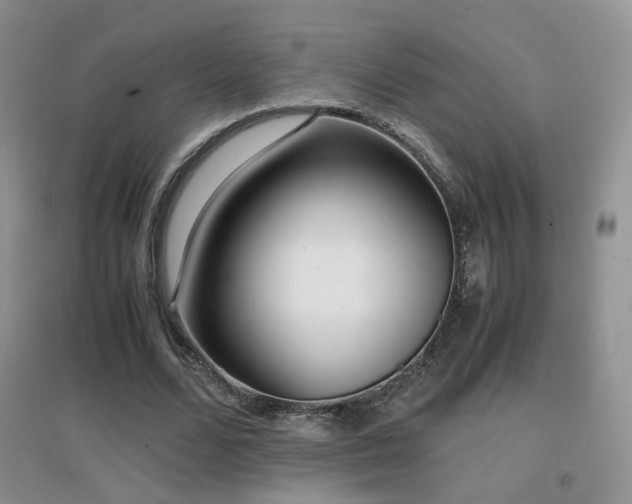X0000096960680200802081231