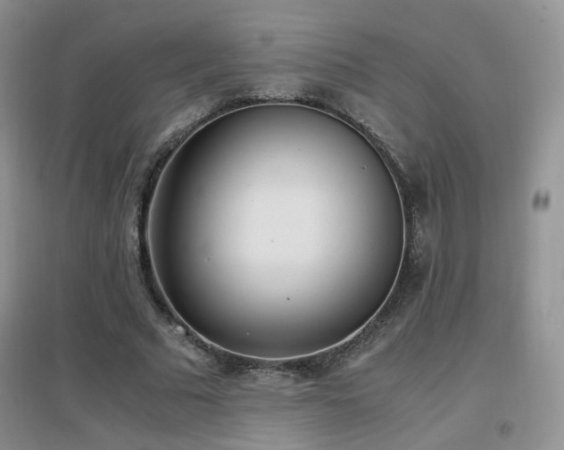 X0000096960681200802081231