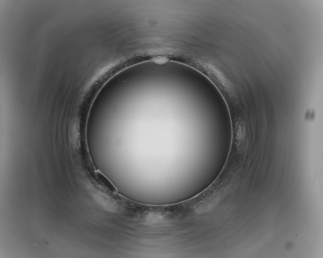 X0000096960684200802081231