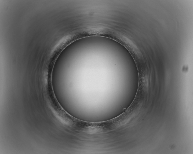X0000096960686200802081231