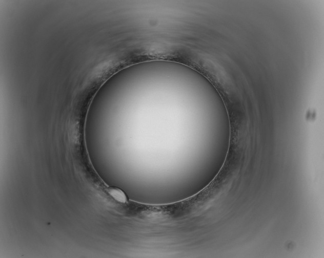 X0000096960689200802081231