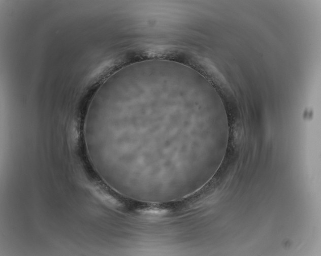 X0000096960691200802081231