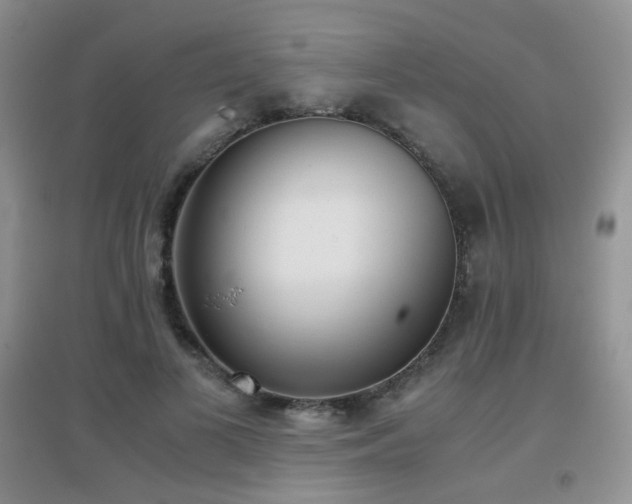 X0000096960693200802081231