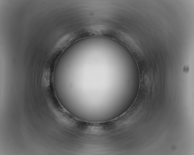 X0000096960694200802081231