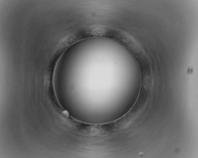 X0000096960697200802081231